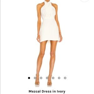 Amanda Uprichard Mezcal Dress